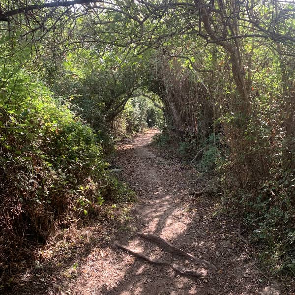 Sentier des douaniers