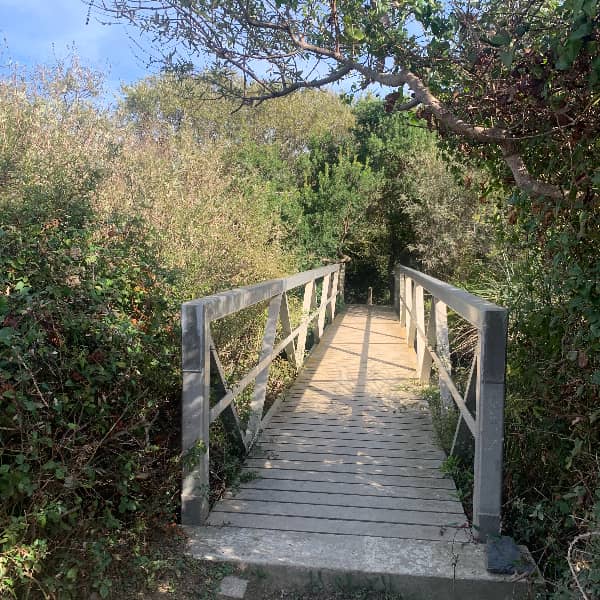 Sentier des douaniers